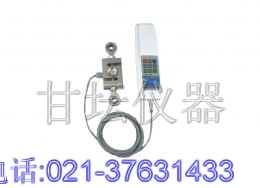 FA-5噸拉力計，5噸拉力計廠(chǎng)家