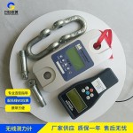 戶(hù)外工程檢測 12KN 便攜式測力計 防水 方便移動(dòng)?